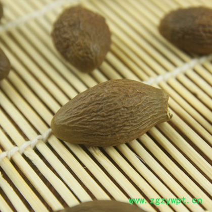 批发供应花草茶 胖大海 散装优质胖大海长果量大从优 一件代发图2