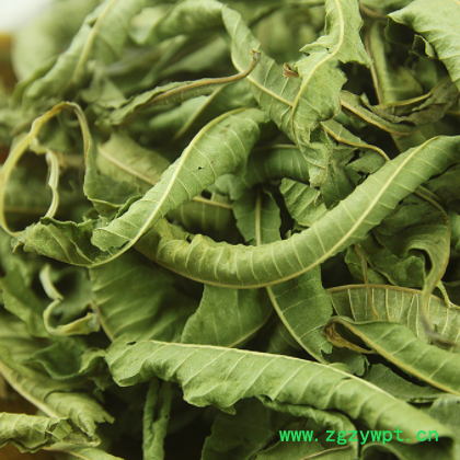 批发供应大货 马鞭草500g 散装优质马鞭草 量大从优一件代图3