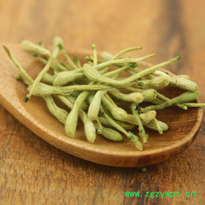 批发供应花草茶 金银花茶 河南封丘优质金银花 量大从优 一件代发图3