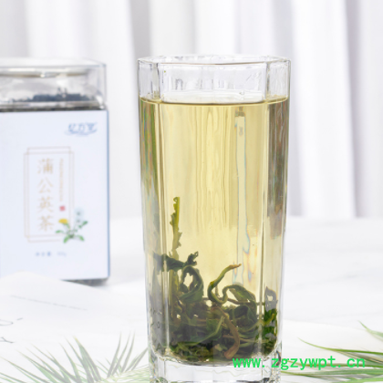 厂家直销 蒲公英茶罐装50g 长白山蒲公英婆婆丁茶叶 一件代发图3