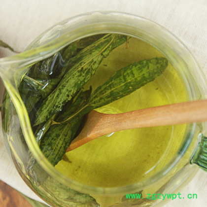 批发供应花草茶 2020甜叶菊 散装优质甜菊叶 量大从优 一件代发图3