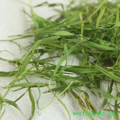 批发供应花草茶 石竹叶茶 散装优质淡竹叶石竹茶量大从优一件代发图2