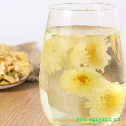花草茶 菊花茶罐装30g 正宗黄山七月贡菊 白菊花茶一件代发图3