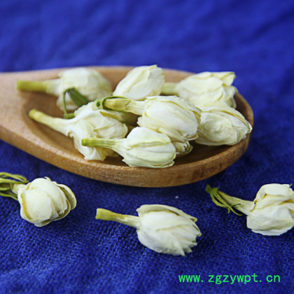 批发供应大货 茉莉花茶 广西横县茉莉花苞茶 一件代发图3