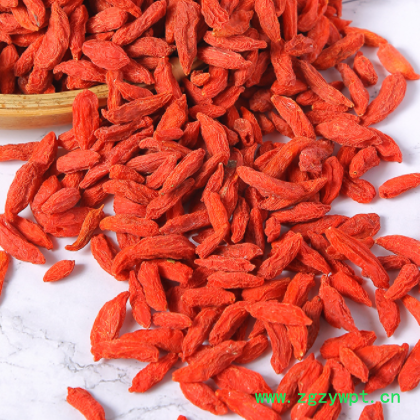 批发供应 枸杞子500g 中宁枸杞 宁夏正品枸杞子支持一件代发图3