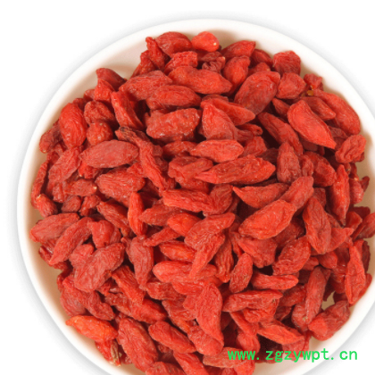 批发供应 枸杞子500g 中宁枸杞 宁夏正品枸杞子支持一件代发图2