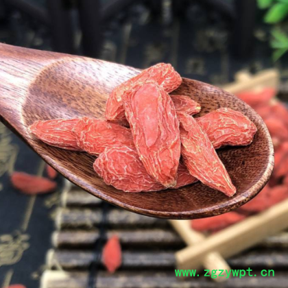 红枸杞1000g 枸杞子苟杞贡果宁夏 非野生中药材 大粒图2