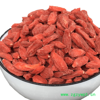 红枸杞1000g 枸杞子苟杞贡果宁夏 非野生中药材 大粒图3