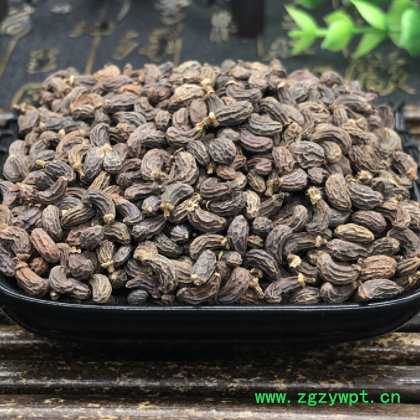 女贞子1000克非野生中药材袋泡茶正墨旱莲草何首乌组合品女贞子粉图3