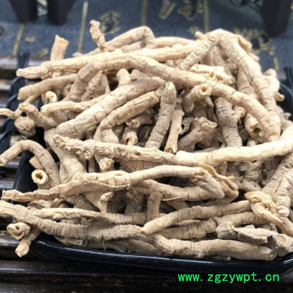 中药材大全 陕西远志肉 干净远志筒大筒抽芯率高 1000克 量大从优图2