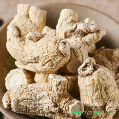 西洋参段个花旗参 短支粒头可切片代打粉散装批发图3