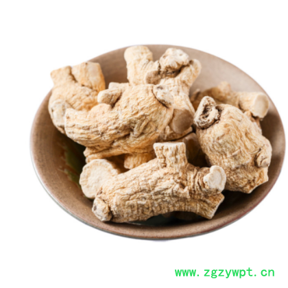 西洋参段个花旗参 短支粒头可切片代打粉散装批发图2