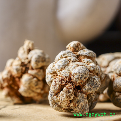 批发三七田七批发规格齐全水洗货代打三七粉压制三七片图3