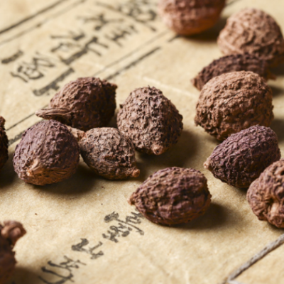 批发砂仁壳砂仁 砂仁 现货批发