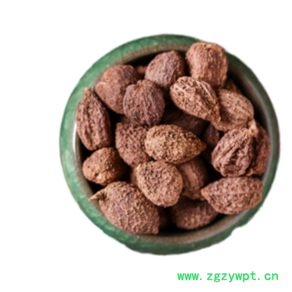 批发砂仁壳砂仁 砂仁 现货批发图3