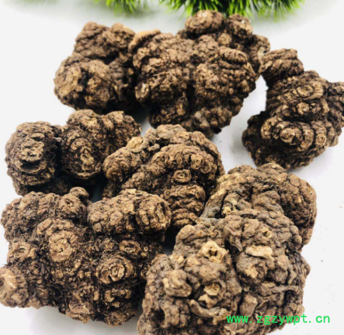 厂家供应芎中药材批发 无硫川芎切片原产地供应 川芎片量大从优图5