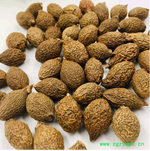 厂家直供胖大海 批发散装胖大海量大从优 圆果胖大海花果茶润喉茶图2