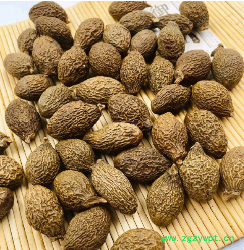 厂家直供胖大海 批发散装胖大海量大从优 圆果胖大海花果茶润喉茶图3