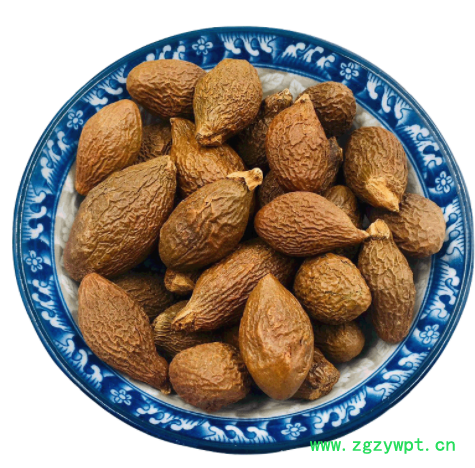 厂家直供胖大海 批发散装胖大海量大从优 圆果胖大海花果茶润喉茶图5