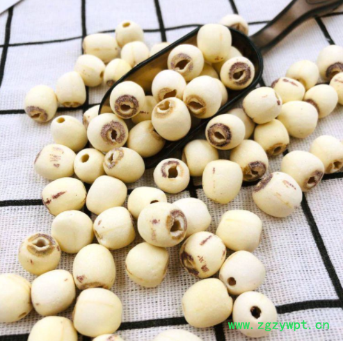 白莲子产地货源白莲子批发白莲子五谷杂粮代发货大货湘潭白莲子图2