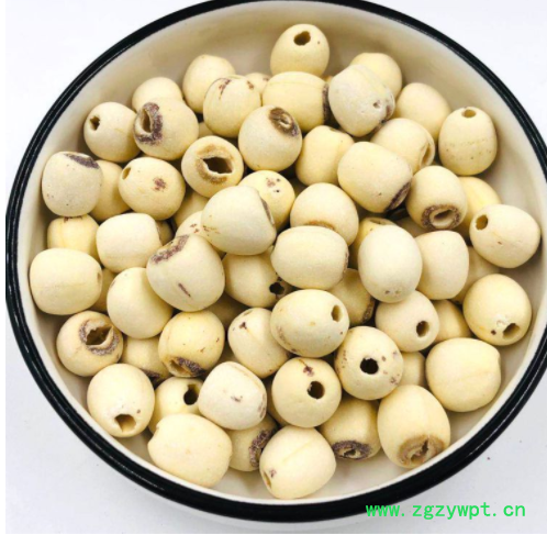 白莲子产地货源白莲子批发白莲子五谷杂粮代发货大货湘潭白莲子图3