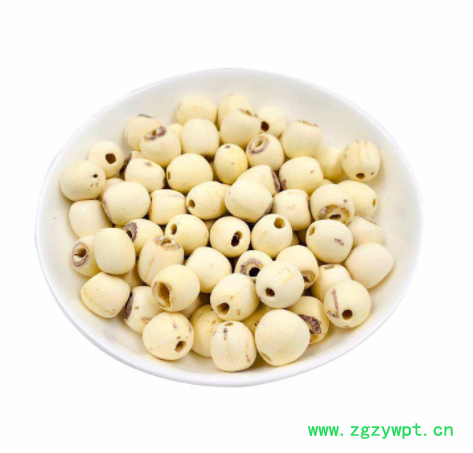 白莲子产地货源白莲子批发白莲子五谷杂粮代发货大货湘潭白莲子图4