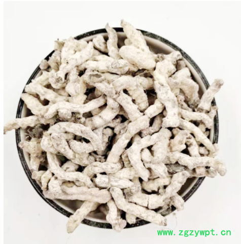 白僵蚕 中药材供应白僵蚕批发 僵虫 天虫僵虫 量大议价图4