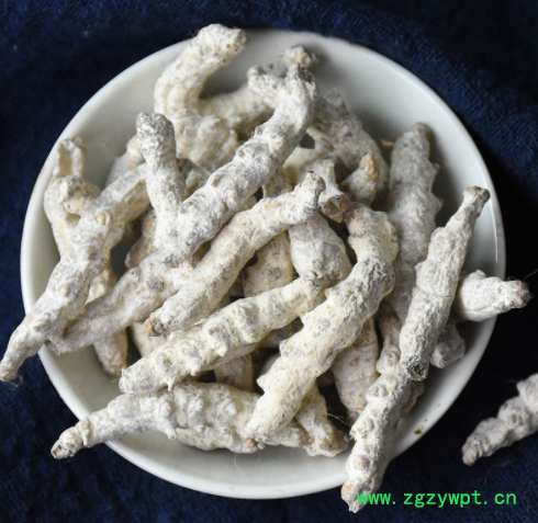 白僵蚕 中药材供应白僵蚕批发 僵虫 天虫僵虫 量大议价图2