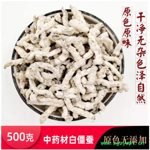 白僵蚕 中药材供应白僵蚕批发 僵虫 天虫僵虫 量大议价