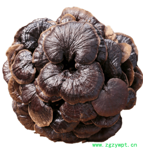 批发野生竹灵芝干货正宗林芝赤灵芝紫灵芝片整枝散装野生灵芝紫芝图4