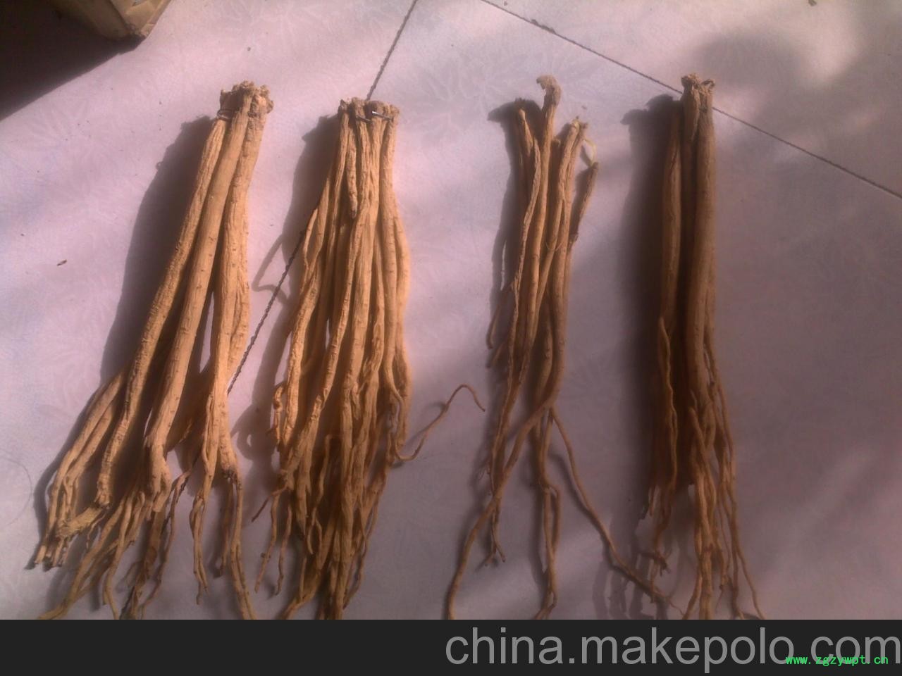 供应党参苗，党参种植，党参种子图4