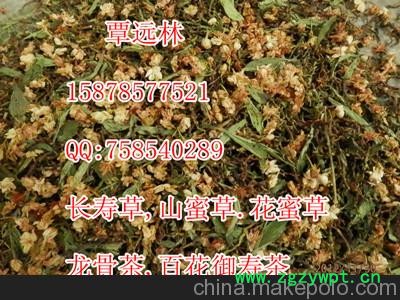 热销云南长寿草茶产地批发配广告录音山蜜草茶龙骨茶毛冬青罗汉果花图3