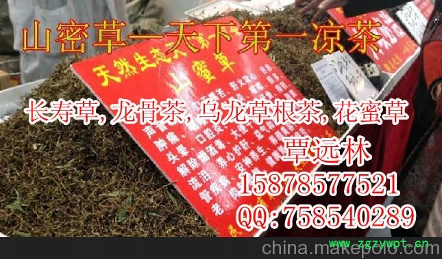 热销云南长寿草茶产地批发配广告录音山蜜草茶龙骨茶毛冬青罗汉果花图2