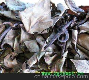 钩藤/坐月子藤/原植物药材