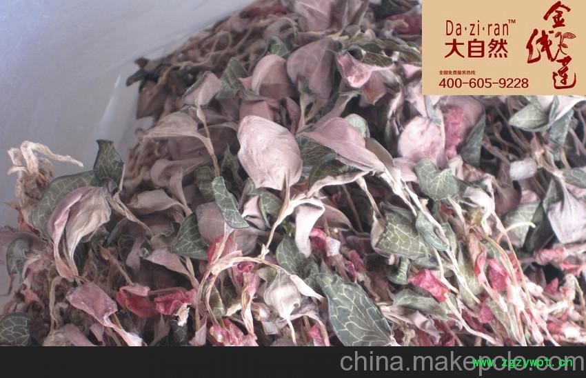 供应干品金线莲图2