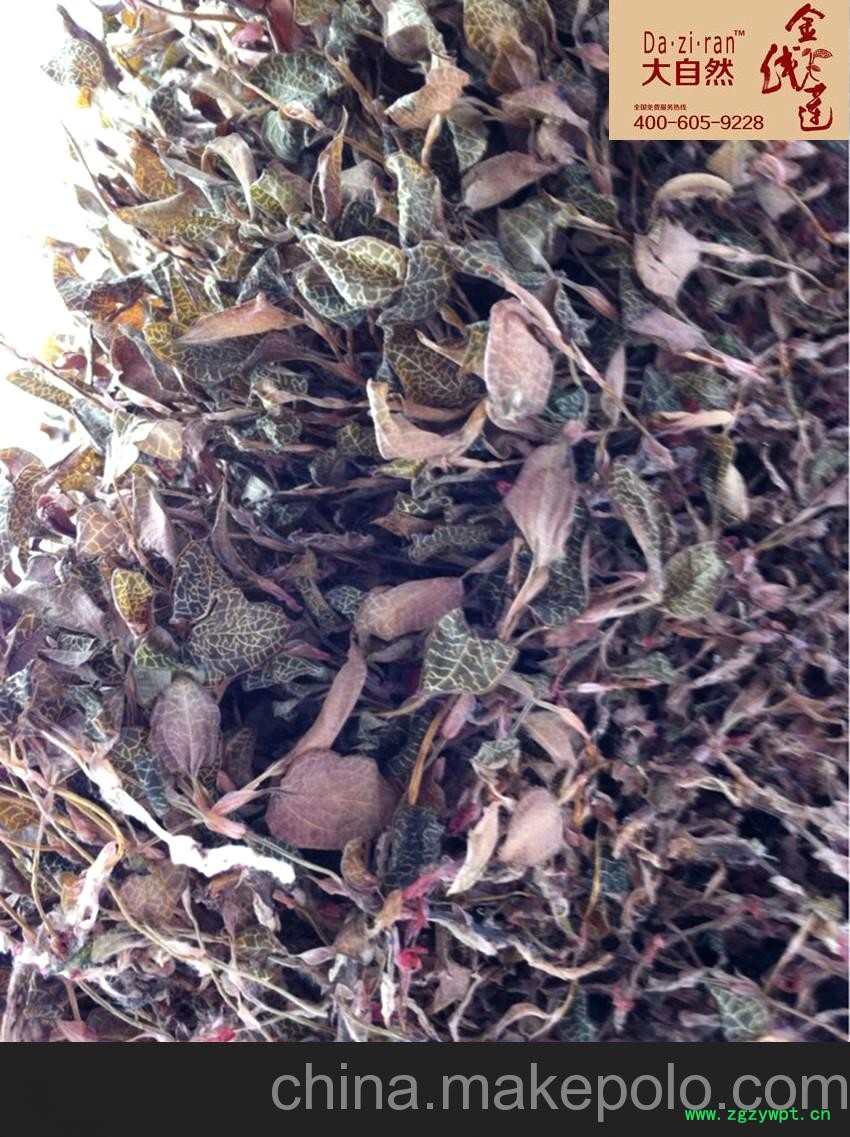 供应干品金线莲图4