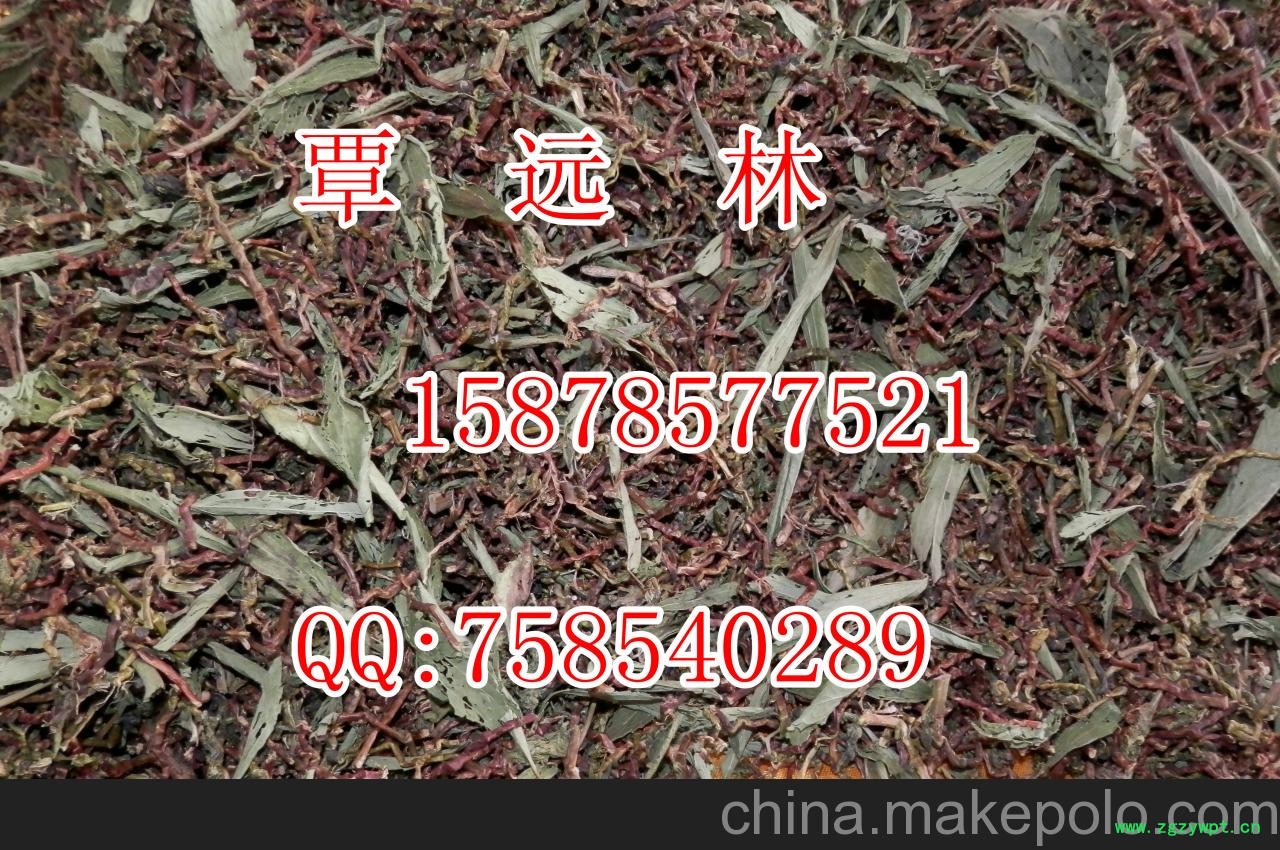 云南长寿草茶产地批发配广告录音山蜜草茶龙骨茶毛冬青罗汉果花