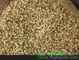 热卖原植物花类&mdash;&mdash;茉莉花