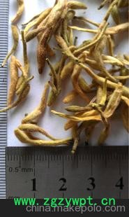 金银花一级品 （#312142390822）