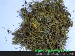 大量供应隆回金银花