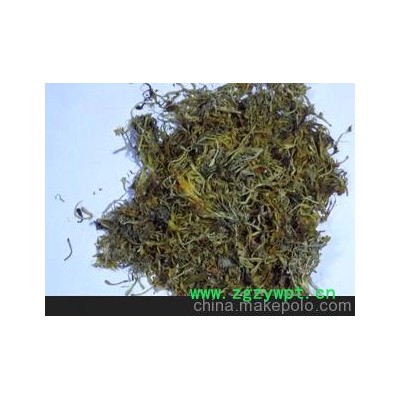 大量供应隆回金银花