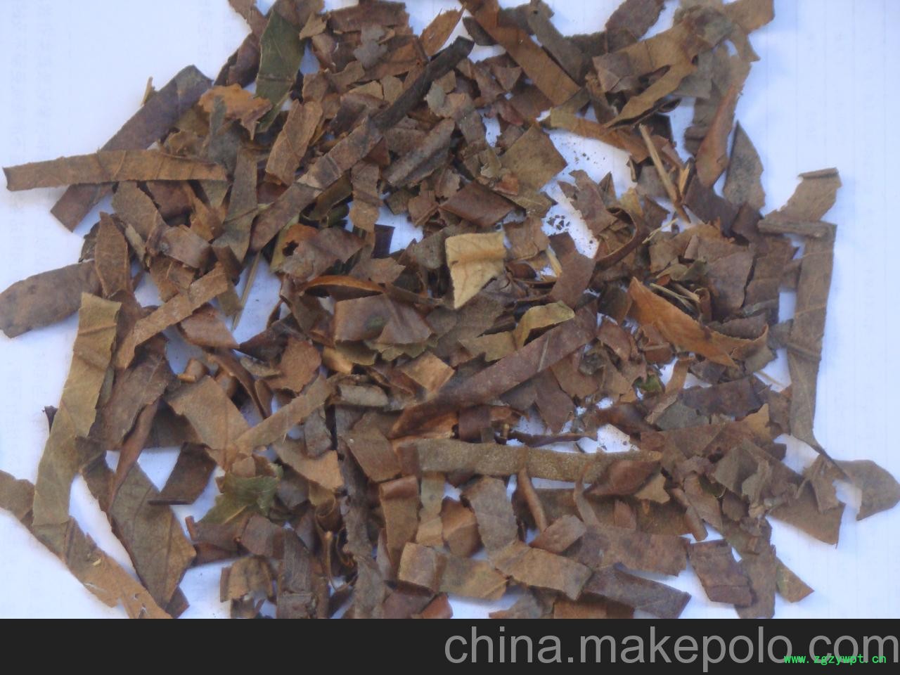 供应陈氏种植 常年供应枇杷丝大货