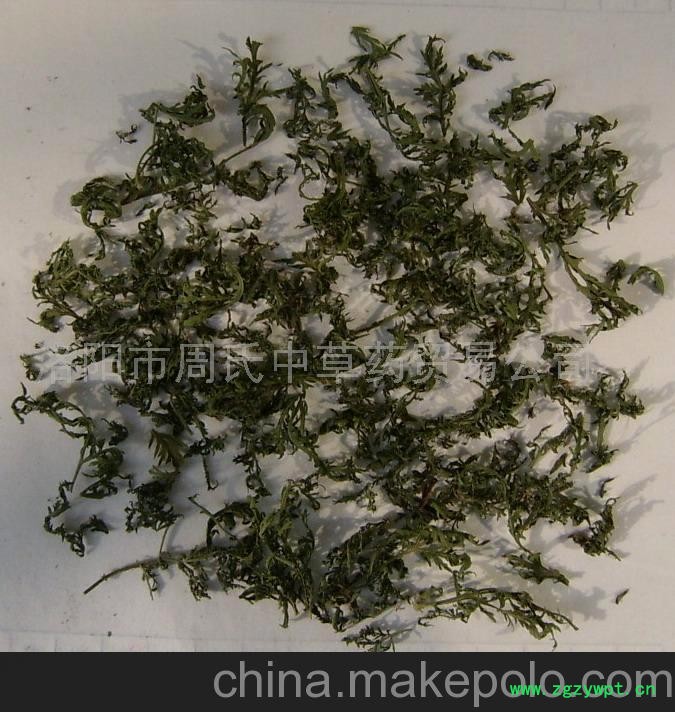 新货百吨青蒿-青蒿