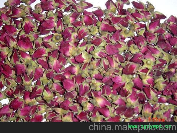 供应山东玫瑰大花蕾图2