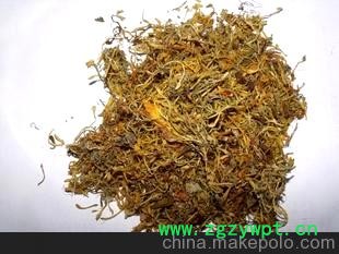 大量供应金银花