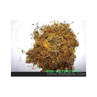 大量供应金银花