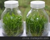 供应大运发北京河北650毫升菌种培育瓶图3