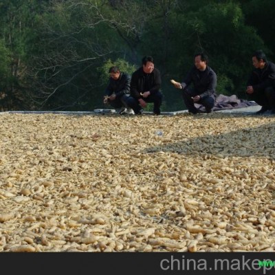 供应一级无硫天麻