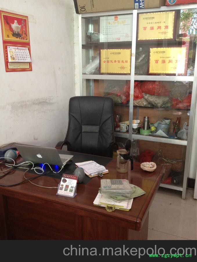 供应相思藤叶，相思叶图2