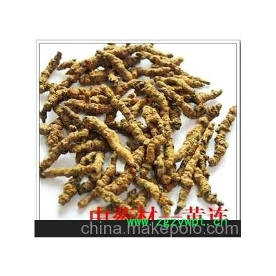 批发供应中药材 黄连 、川连、姜连 具有清热燥湿，泻火解毒。